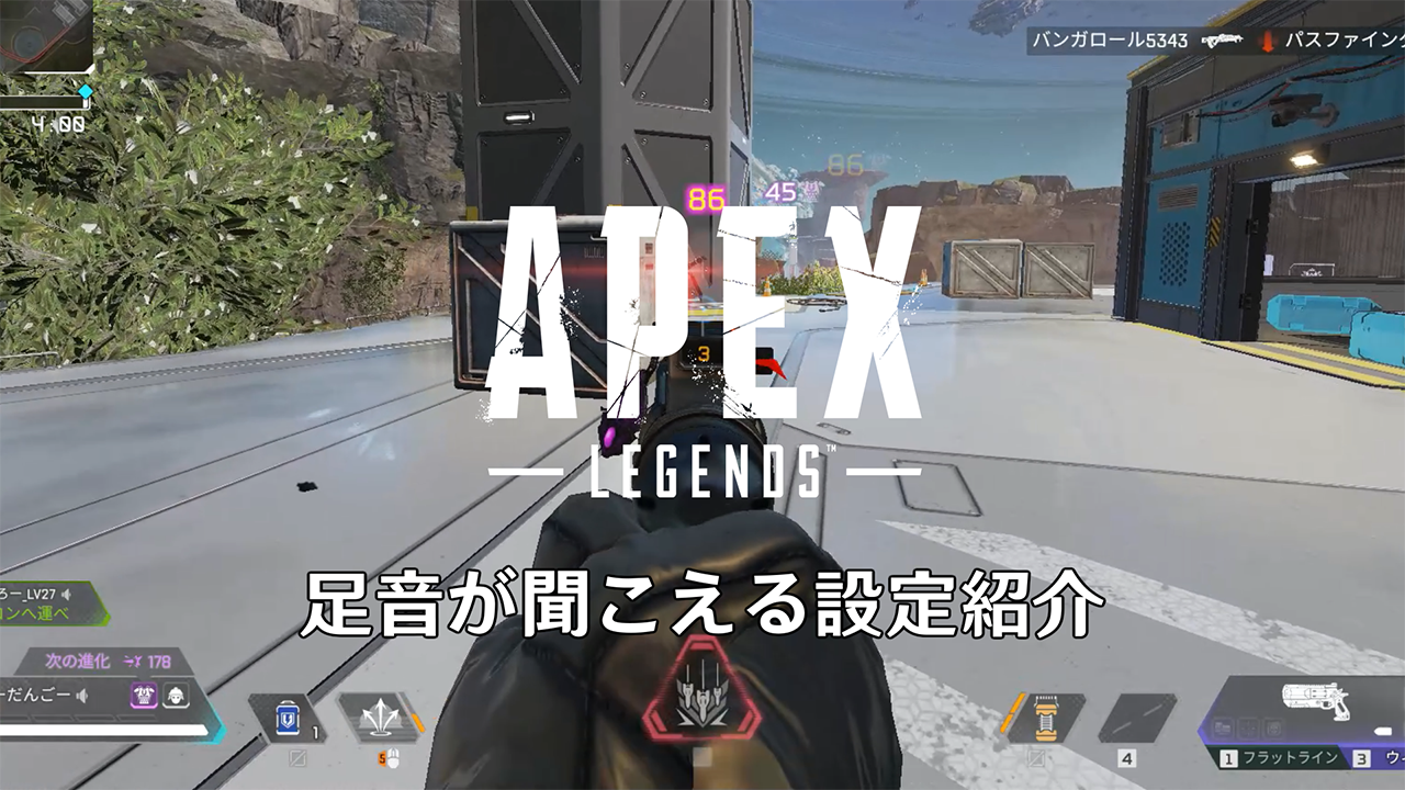【Apex Legends】足音が聞こえる設定紹介